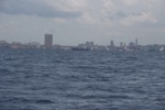 resIMG_20160613_145928_6018.JPG